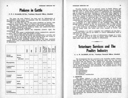 1967 Page 028 029